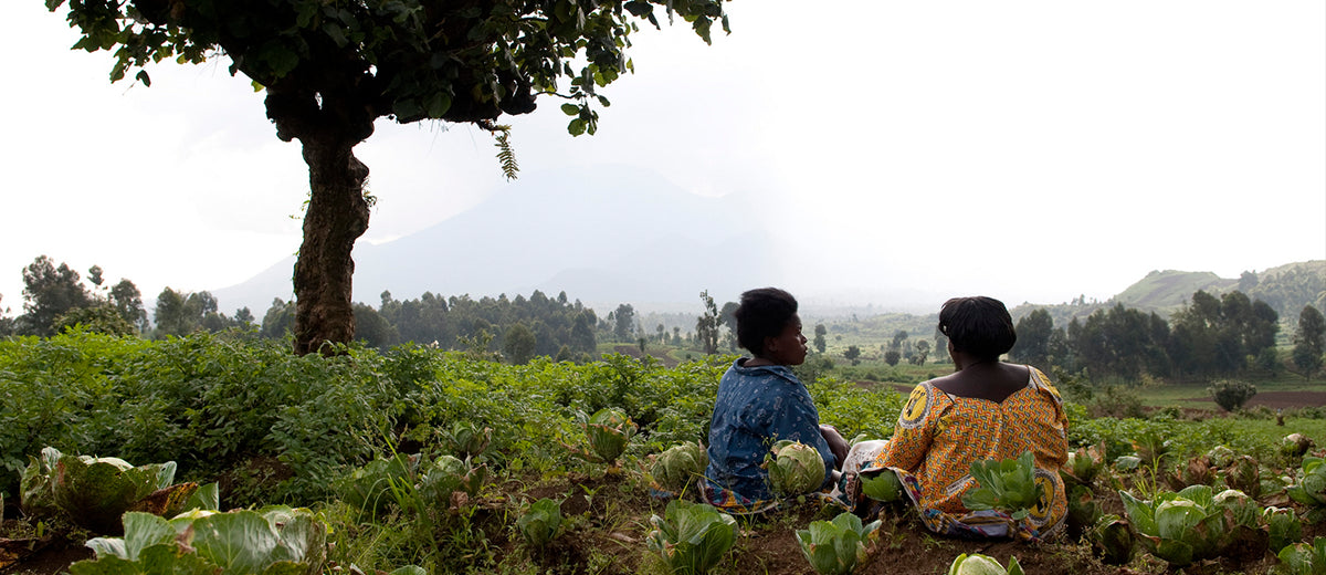 Eastern Congo Initiative + Water.org